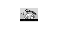 't Haeren